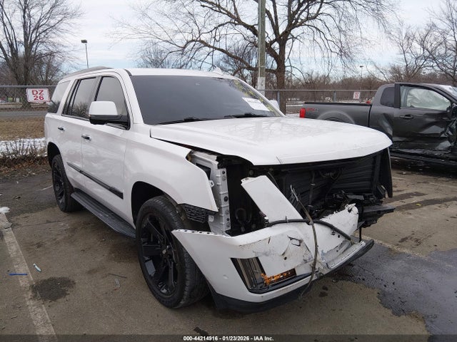 2019 CADILLAC ESCALADE 1GYS4BKJ2KR221753