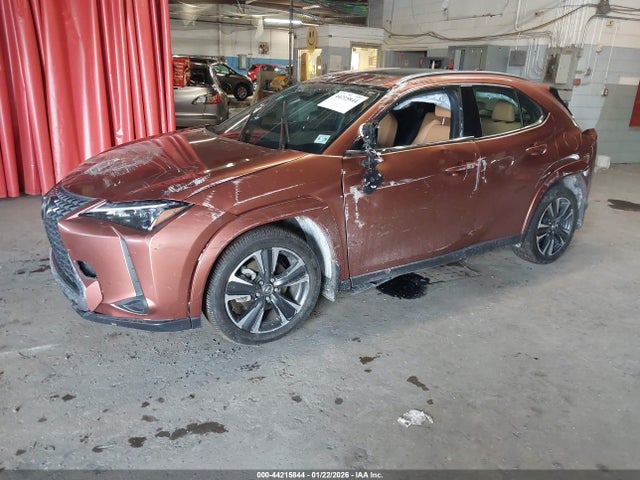 Продаж на аукціоні авто 2025 Lexus Ux Ux 300h Premium, vin: JTHUCJDH6S2003408, номер лоту: 44215844