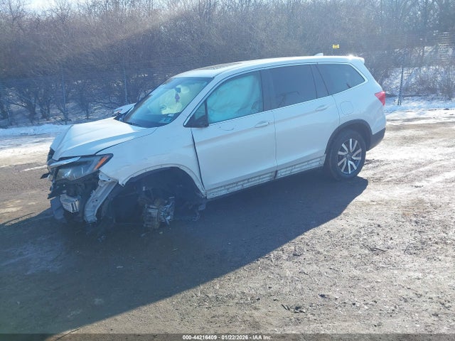 Honda Pilot Awd Ex-l 2020 5FNYF6H59LB014229 Image 2