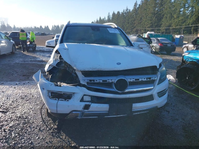 Mercedes-Benz Gl 450 4matic 2014 4JGDF7CE5EA360118 Image 6
