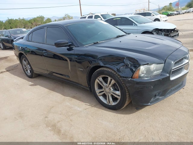 2014 DODGE CHARGER 2C3CDXDT7EH296480