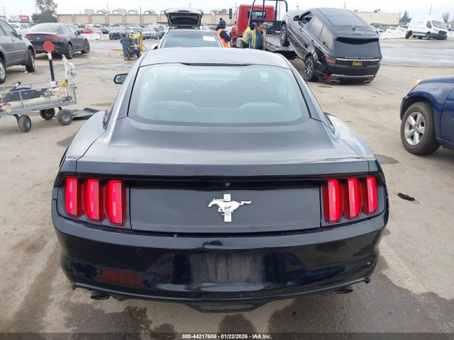 Ford Mustang V6 2017 1FA6P8AM3H5333853 Image 16