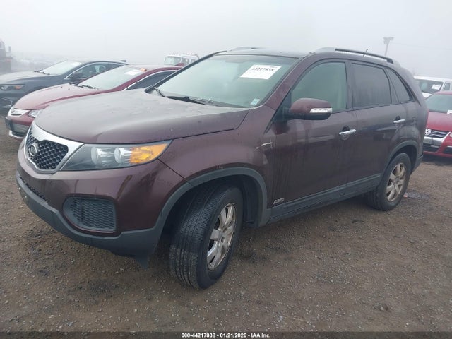 2013 KIA SORENTO 5XYKTDA22DG336188 Photo 1