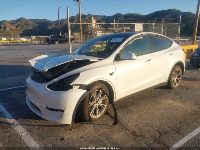 2024 TESLA MODEL Y 7SAYGDEE5RF090886 Photo 1