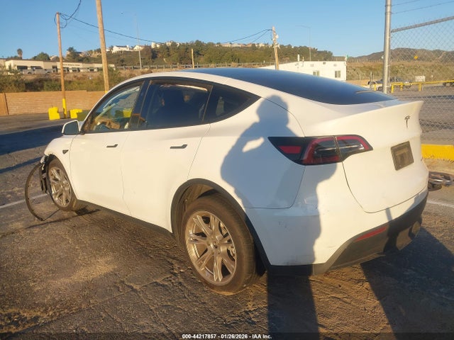 2024 TESLA MODEL Y 7SAYGDEE5RF090886 Photo 2