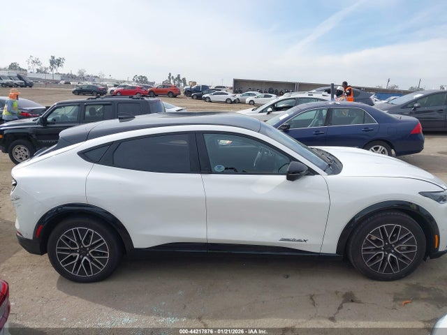 Ford Mustang Mach-e Premium 2024 3FMTK3SUXRMA46630 Image 13