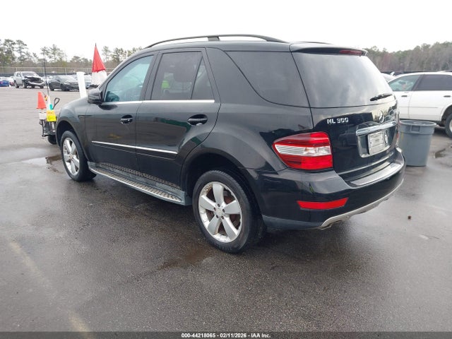 2011 MERCEDES-BENZ M-CLASS 4JGBB5GBXBA721359 Photo 2