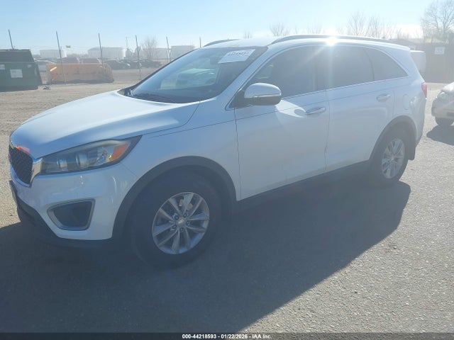 5XYPG4A36GG053736 KIA Sorento 2.4l Lx