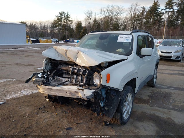 2019 JEEP RENEGADE ZACNJBBB8KPK95257 Photo 1