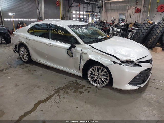 2019 TOYOTA CAMRY HYBRID 4T1B21HK1KU519726
