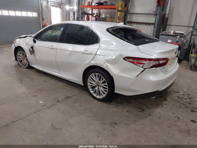 2019 TOYOTA CAMRY HYBRID 4T1B21HK1KU519726 Photo 2
