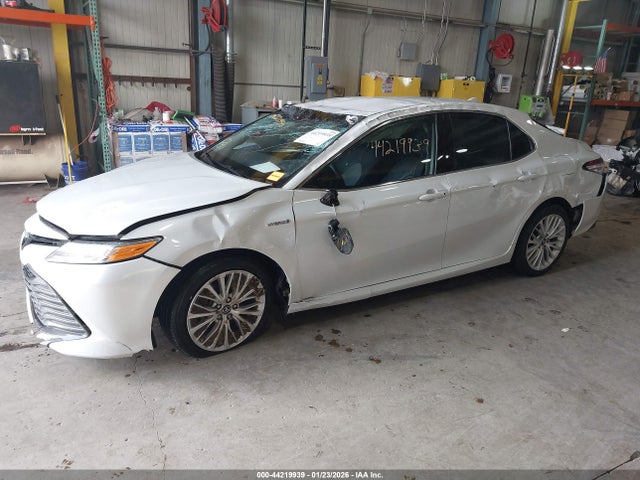 2019 TOYOTA CAMRY HYBRID 4T1B21HK1KU519726 Photo 5