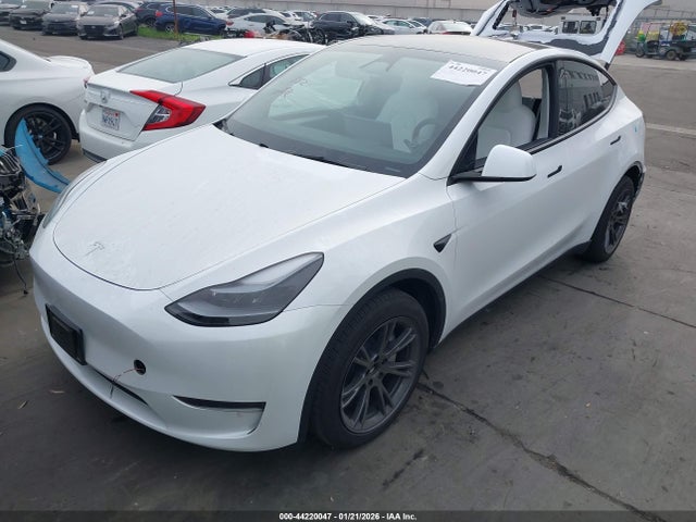 2024 TESLA MODEL Y 7SAYGDEDXRF168103 Photo 1