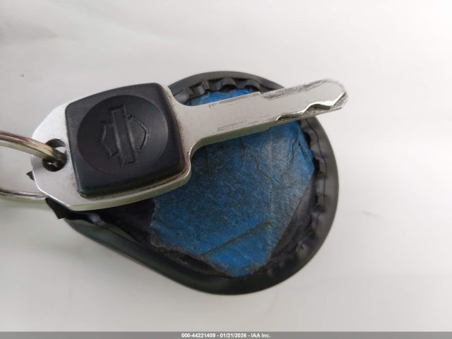 2021 HARLEY-DAVIDSON FXBBS 1HD1YYK25MB054543 Photo 10