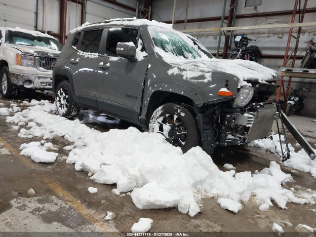 2019 JEEP RENEGADE ZACNJBBB1KPK50192 Photo 0