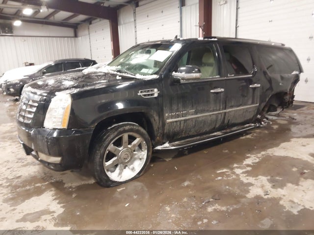 2007 CADILLAC ESCALADE ESV 1GYFK66807R238256 Photo 1