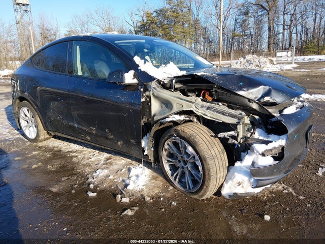 2024 TESLA MODEL Y 7SAYGDEEXRA274363