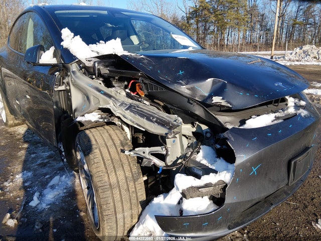 2024 TESLA MODEL Y 7SAYGDEEXRA274363 Photo 5