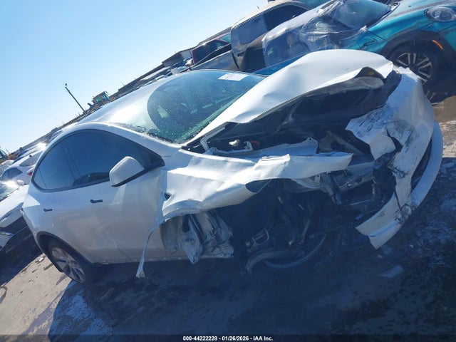 Aukcja sprzedaży 2023 Tesla Model Y, vin: 7SAYGDEE5PF619184, numer aukcji: 44222228