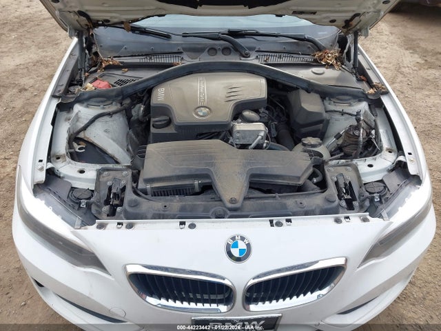 2015 BMW 228I WBA1F5C56FV257390 Photo 9