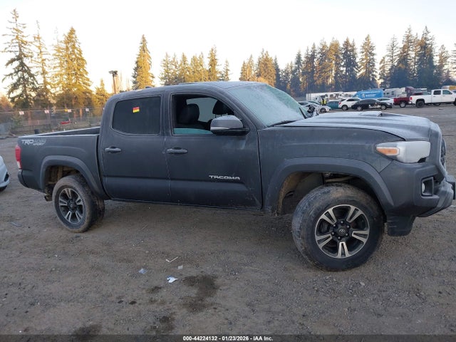 3TMCZ5AN4KM201457 Toyota Tacoma Trd Sport