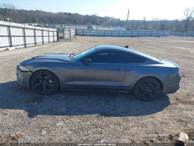 Ford Mustang Ecoboost Fastback 2021 1FA6P8TH1M5102623 Image 15