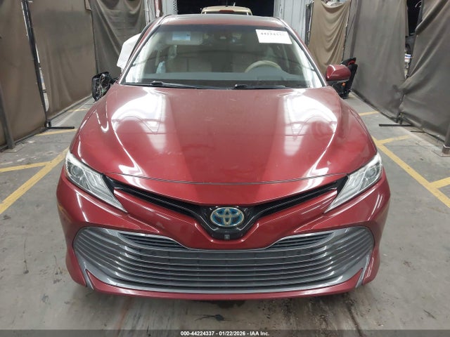 4T1F31AKXLU010860 Toyota Camry Xle Hybrid