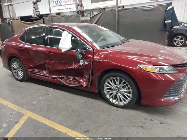 4T1F31AKXLU010860 Toyota Camry Xle Hybrid