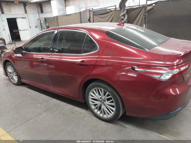 4T1F31AKXLU010860 Toyota Camry Xle Hybrid