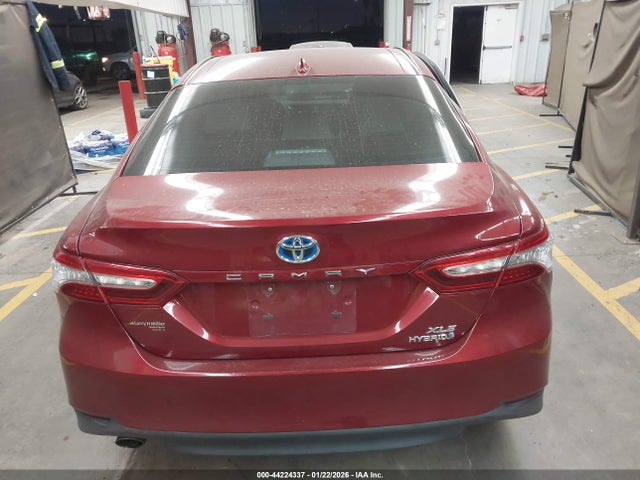 4T1F31AKXLU010860 Toyota Camry Xle Hybrid
