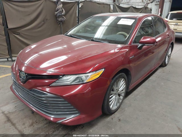 4T1F31AKXLU010860 Toyota Camry Xle Hybrid