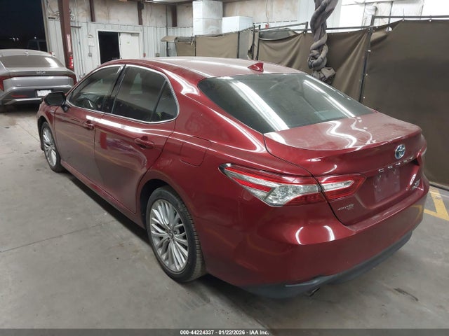 4T1F31AKXLU010860 Toyota Camry Xle Hybrid