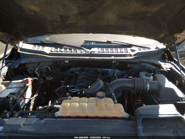 1FTEW1E56KKC14724 Ford F-150 Xlt
