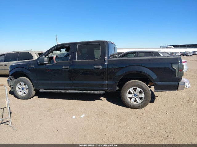 1FTEW1E56KKC14724 Ford F-150 Xlt