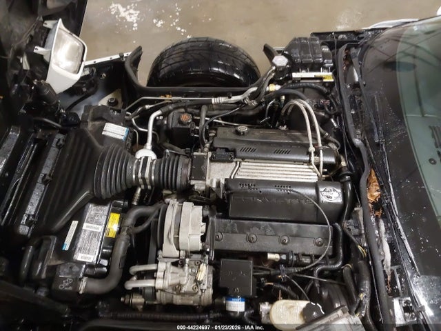 1994 CHEVROLET CORVETTE 1G1YY22P5R5108415 Photo 9