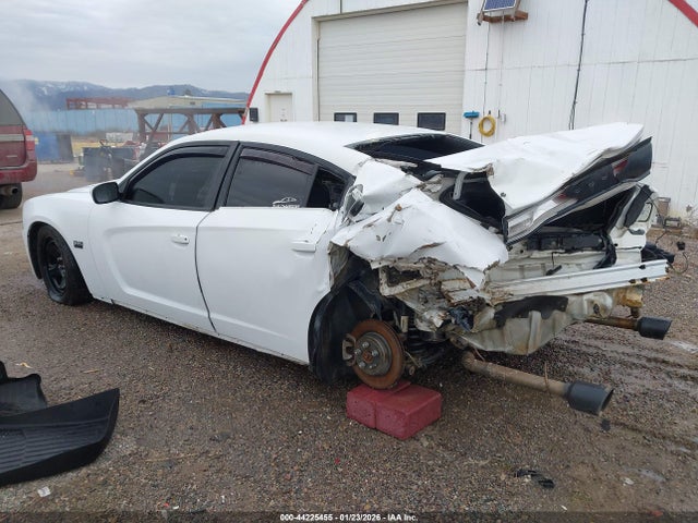 Dodge Charger Police 2014 2C3CDXAT9EH367487 Image 3