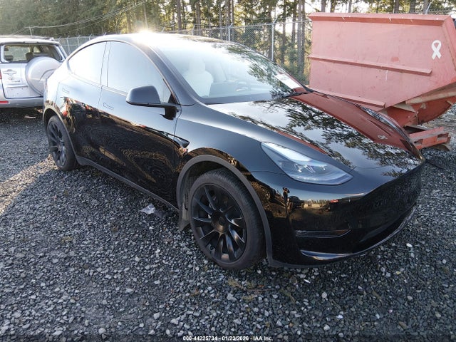 2025 TESLA MODEL Y 7SAYGDEE0SF256902 Photo 0