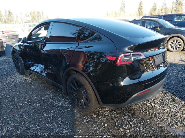 2025 TESLA MODEL Y 7SAYGDEE0SF256902 Photo 2