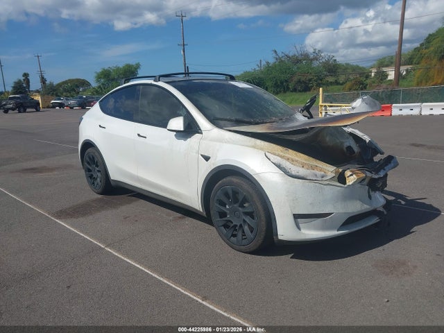 2021 TESLA MODEL Y 5YJYGDEDXMF103483 Photo 0