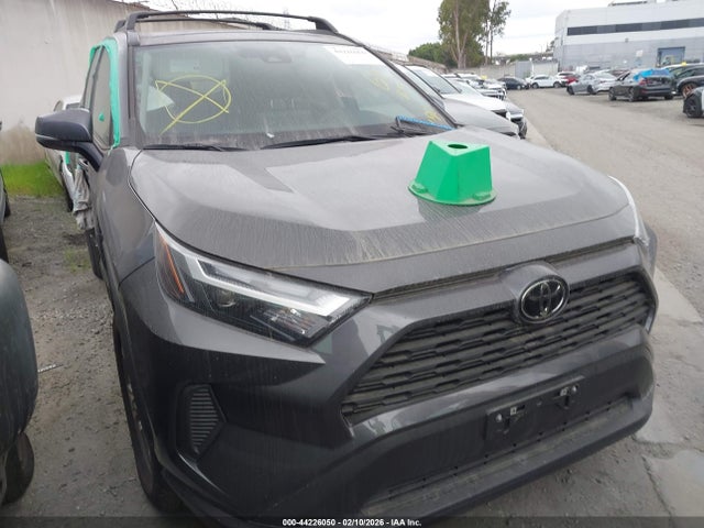 Toyota Rav4 Xle 2024 2T3W1RFVXRW347102 главное изображение