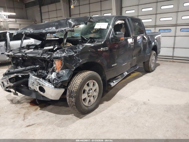 Ford F-150 Xlt 2014 1FTFW1ET0EFB04994 Image 2