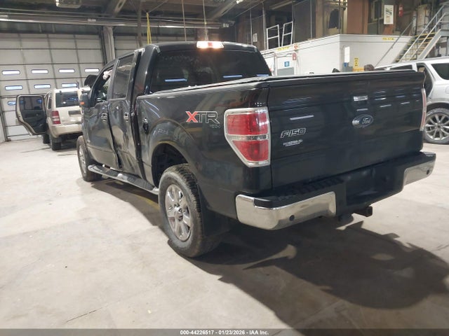 Ford F-150 Xlt 2014 1FTFW1ET0EFB04994 Image 3