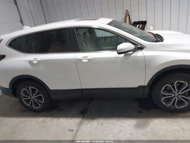 Honda Cr-v Awd Ex-l 2020 5J6RW2H80LL034271 Image 14