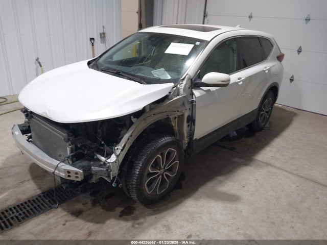 Honda Cr-v Awd Ex-l 2020 5J6RW2H80LL034271 Image 2