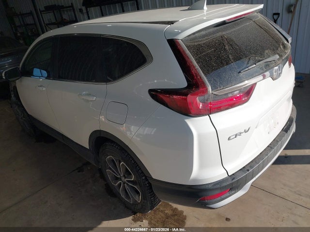 Honda Cr-v Awd Ex-l 2020 5J6RW2H80LL034271 Image 3