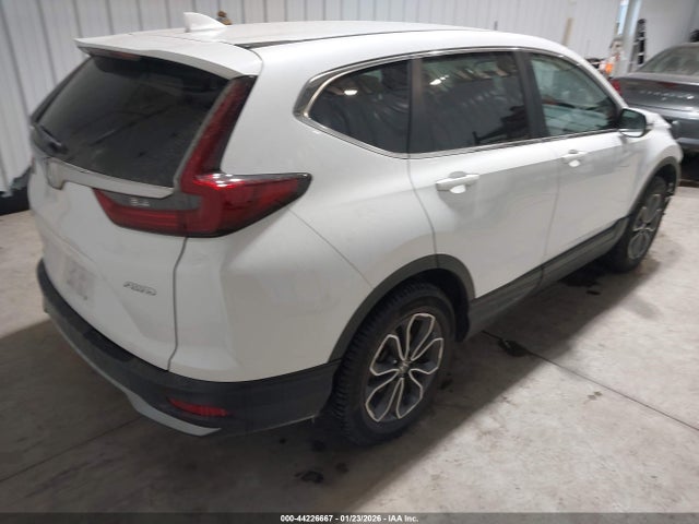 Honda Cr-v Awd Ex-l 2020 5J6RW2H80LL034271 Image 4