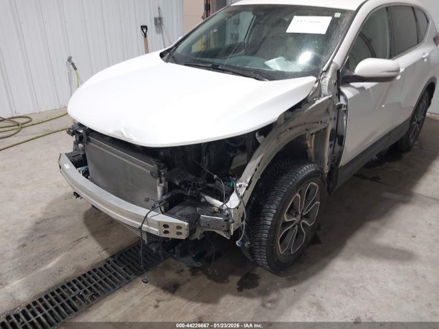 Honda Cr-v Awd Ex-l 2020 5J6RW2H80LL034271 Image 6