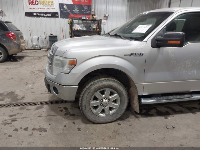 1FTFW1EF9EKD43509 Ford F-150 Xlt