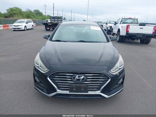 5NPE24AA6JH698228 Hyundai SONATA ECO