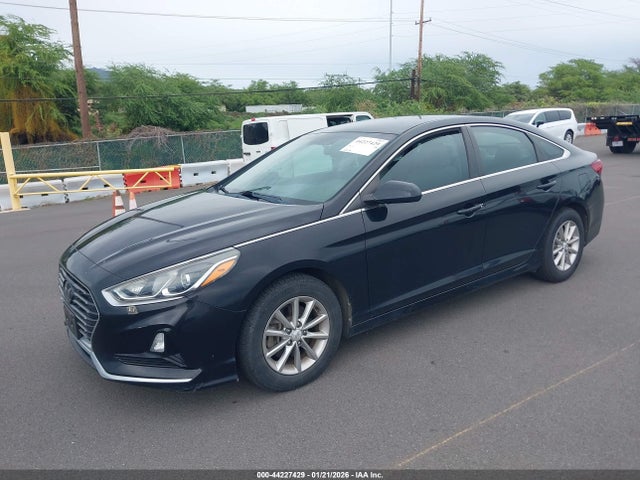 5NPE24AA6JH698228 Hyundai SONATA ECO
